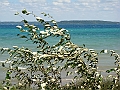 Western Michigan [2010] 561